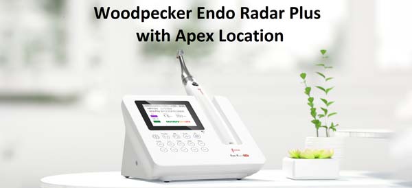 woodpecker-endo-radar